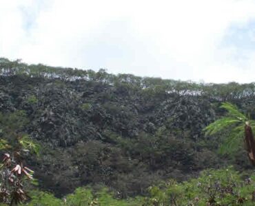 Hike Kaholo ridge.