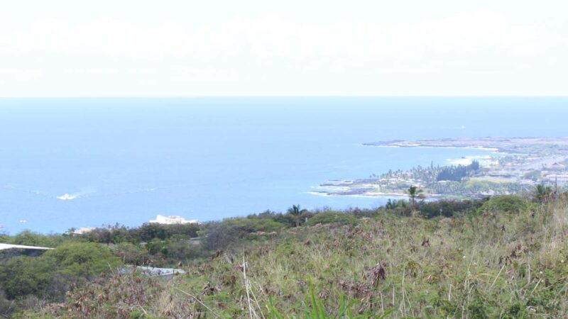 Coastal View Looking North