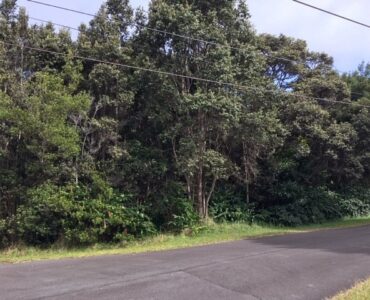 Great Home Site on Cul-De-Sac.  Many Larger Native Ohia trees tin incorporate into your landscaping