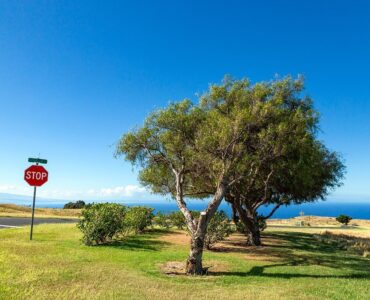 Large Corner parcel with views looking to Ocean