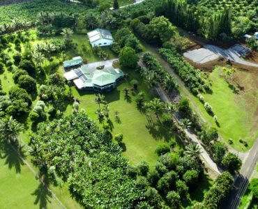 Surrounded by green, views and the safety, bounty and beauty of Hawaii.