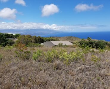 Coastline view from rear of lot ... possible gazebo?