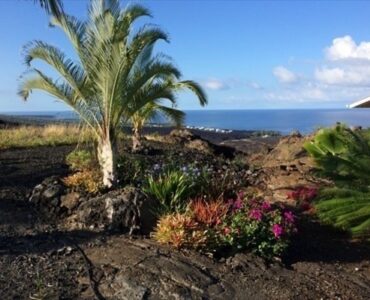 Sweeping ocean views