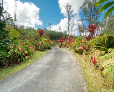 Driveway view