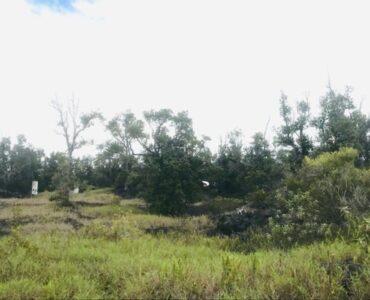 View from middle of lot to Aloha Blvd and white gate frame