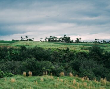 Another vista showing a river gulch and an upper pasture on this 1419 acre parcel of ranch land, streams and ocean views.