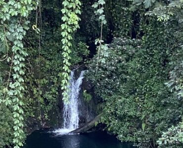 Waterfall & Pool viewed from possible house site.