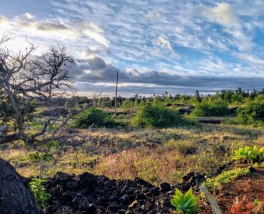 Scenic Setting from Lanai