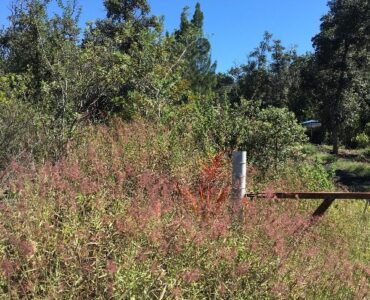 easement is right along outside of fence.