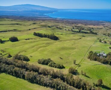 Extraordinary pastureland on the Kohala Mtn. Rd.