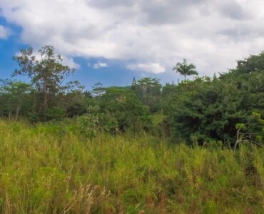 Two vacant lots in highly desirable Pahoa location. On the main road.