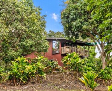 Nestled among mature fruit trees