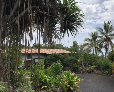 Classic Old Hawaii, this redwood home, in a private setting with mature vegetation all around, is ready for a total rehab.