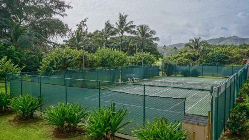 Play some tennis with your family.