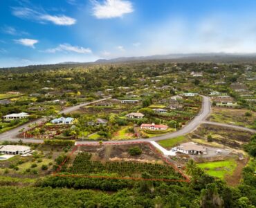 Kona coffee farm in Kona Hills Estates.